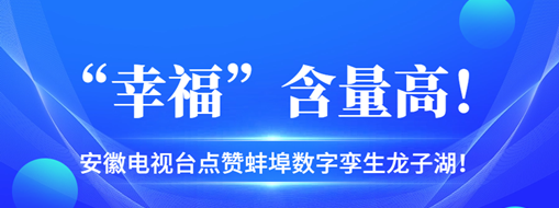 ?“幸福”含量高，安徽電視臺點贊蚌埠數(shù)字孿生龍子湖！
